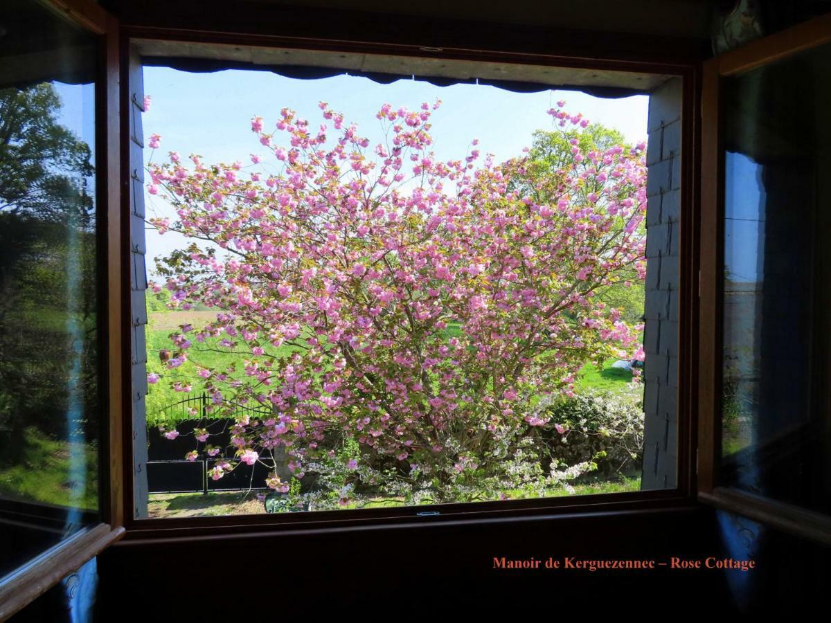 Rose Cottage Pontrieux Bagian luar foto