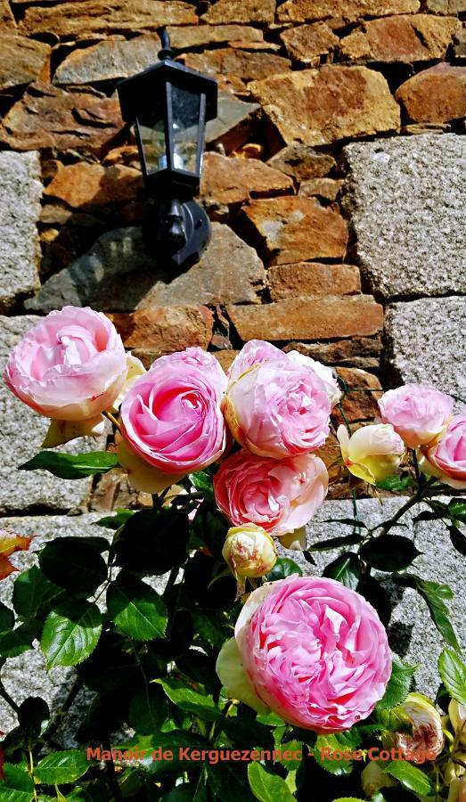 Rose Cottage Pontrieux Bagian luar foto